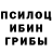 Псилоцибиновые грибы Psilocybe VISHANTH