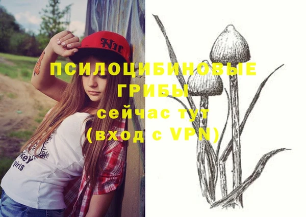 прущие крисы Сосновый Бор